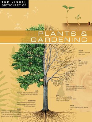 cover image of The Visual Dictionary of Plants & Gardening
